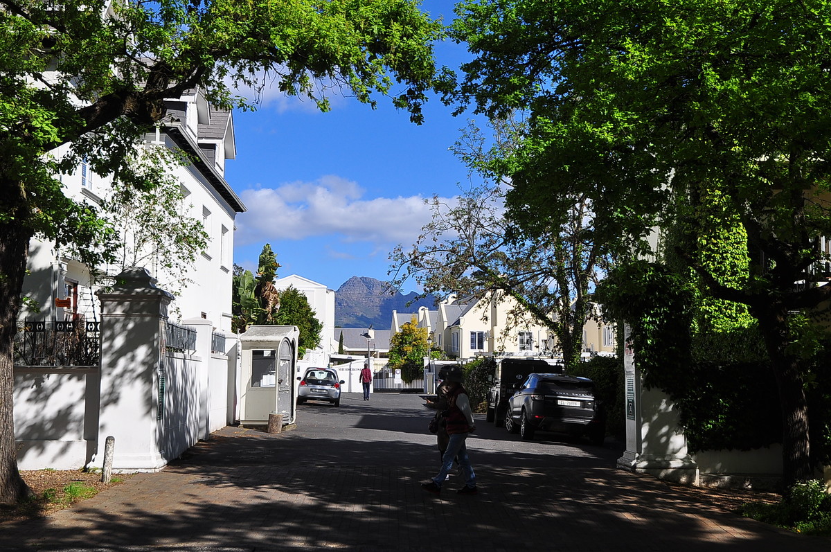 南非之旅（13）斯泰伦伯斯