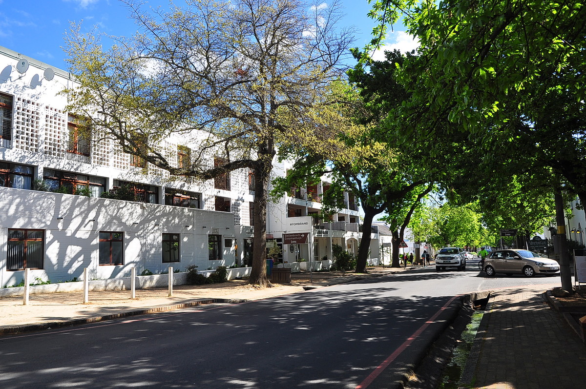 南非之旅（13）斯泰伦伯斯