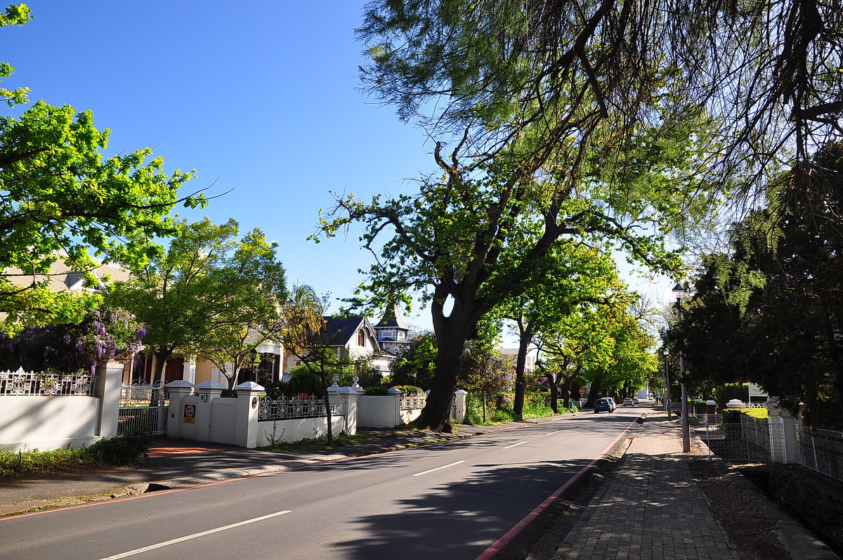 南非之旅（13）斯泰伦伯斯