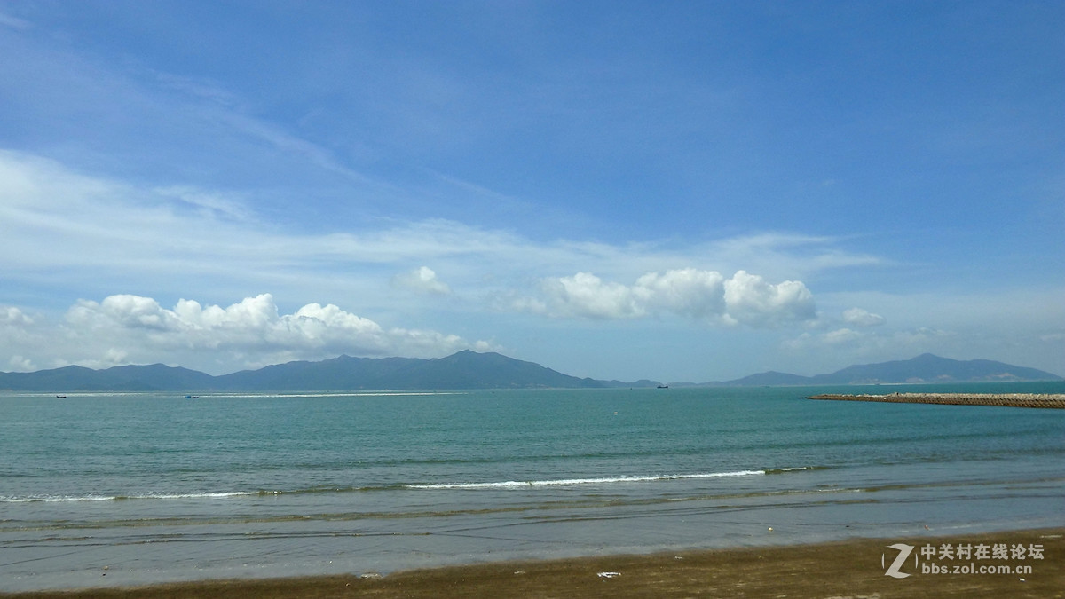 海