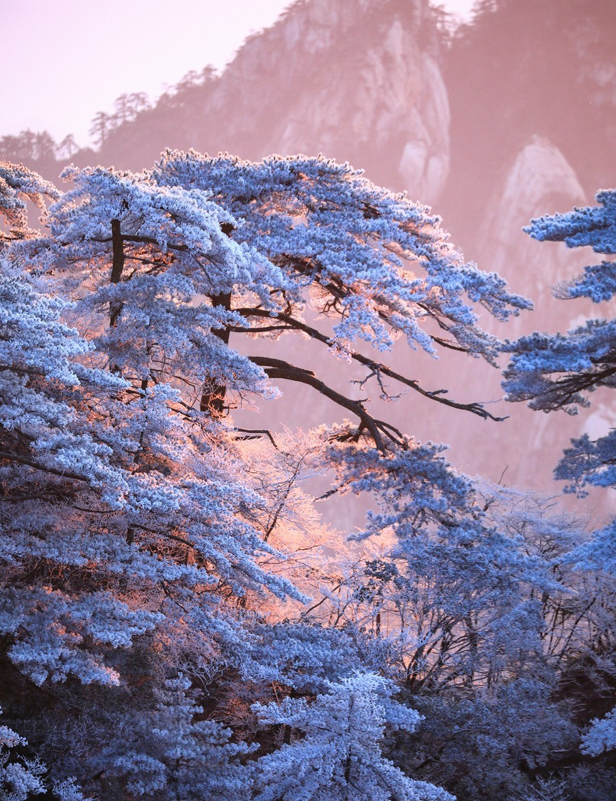 雪韵黄山