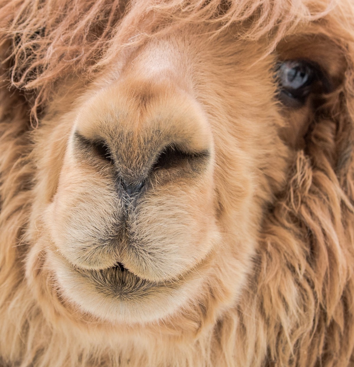 游历绵阳蜗牛儿童乐园时的随拍