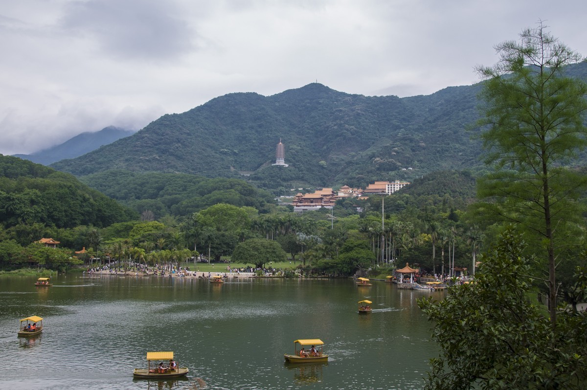 仙湖植物园随拍