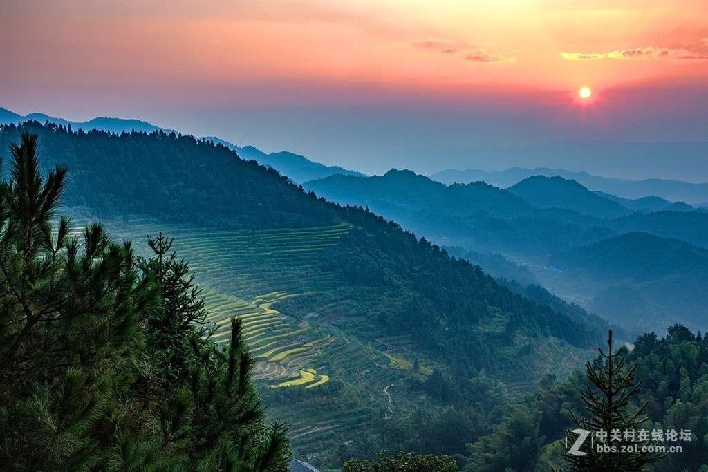 湖南紫鹊界梯田