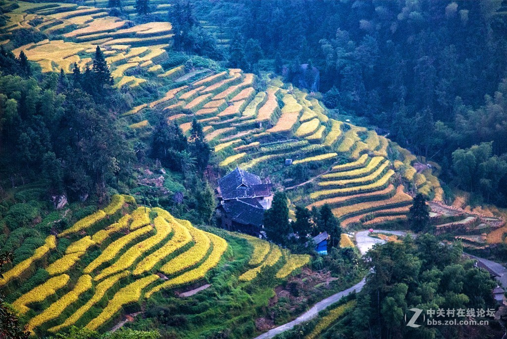 湖南紫鹊界梯田