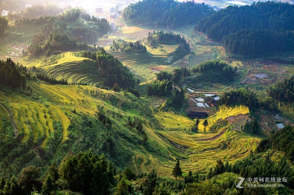 湖南紫鹊界梯田