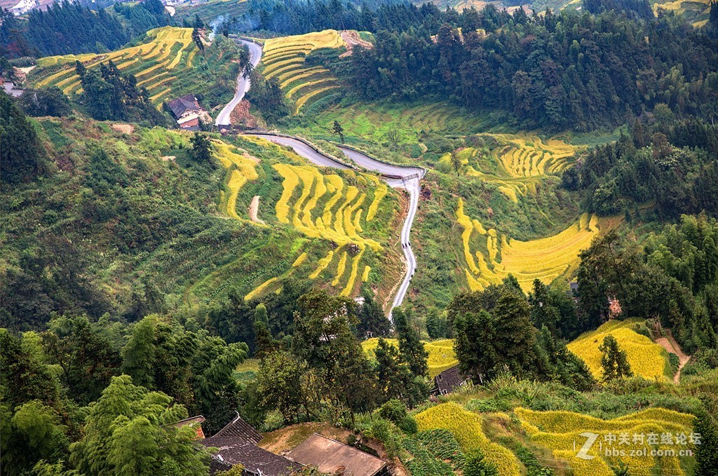 湖南紫鵲界梯田