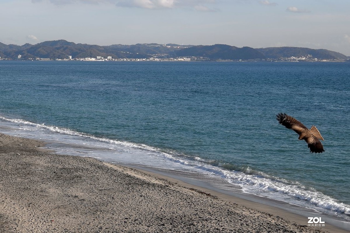 神奈川·镰仓·网红“高校前”站