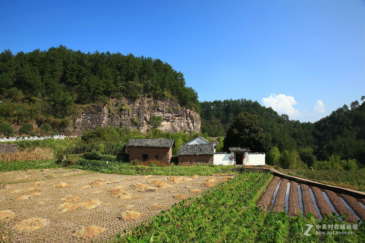 行摄武义县桃溪镇锦后村60
