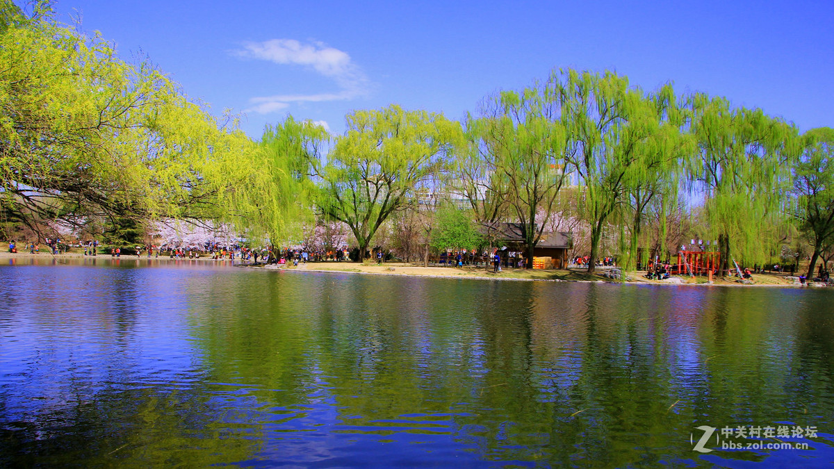 晴天公園美景