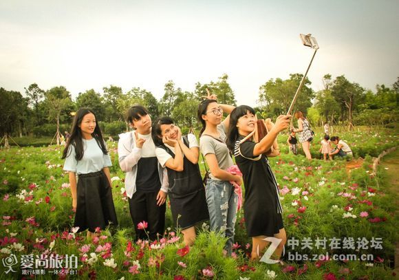 钦州格桑花开！新手勿喷！