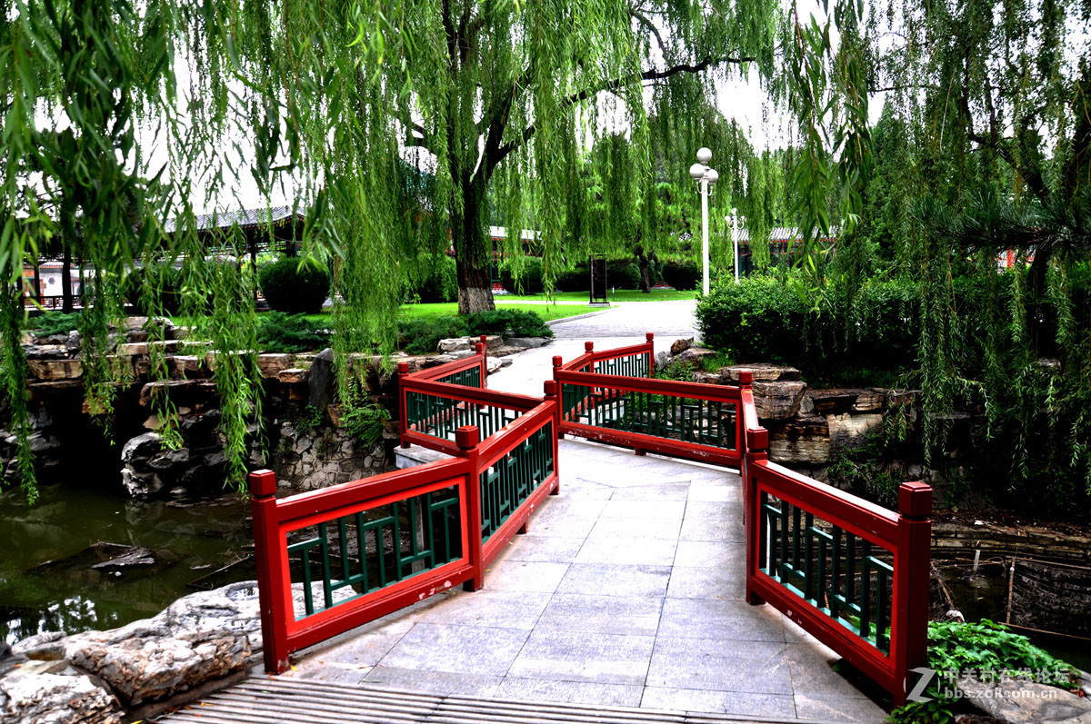 中山公囥的乡土气息; 16 ;8;1;