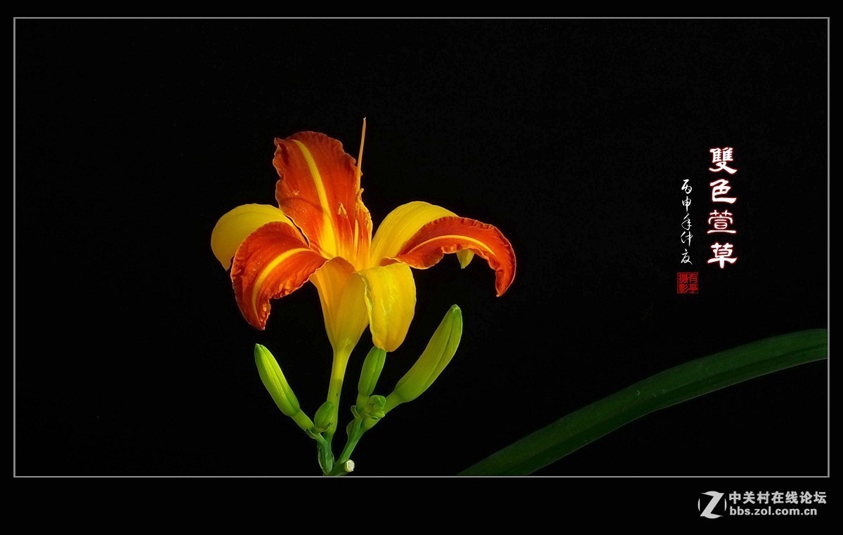 #版主坐堂# 赤峰摄影星空(中国)2016年7月份部分精华作品