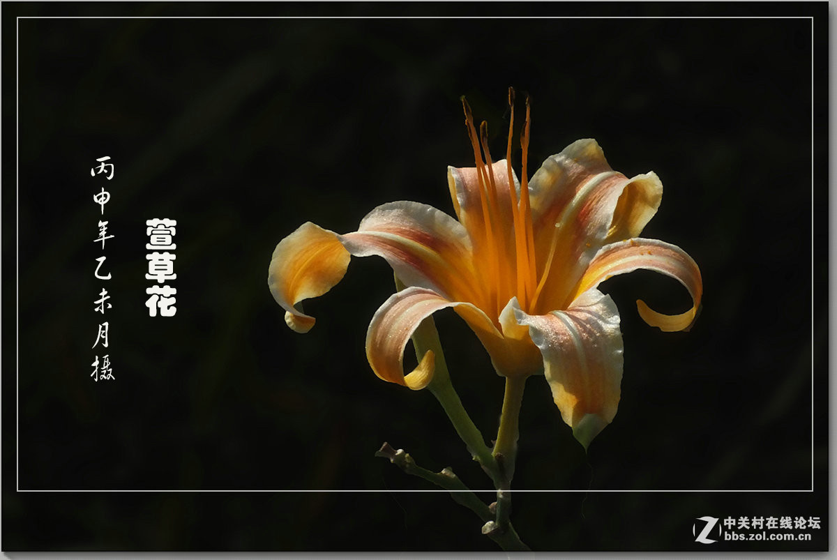 #版主坐堂# 赤峰摄影星空(中国)2016年7月份部分精华作品