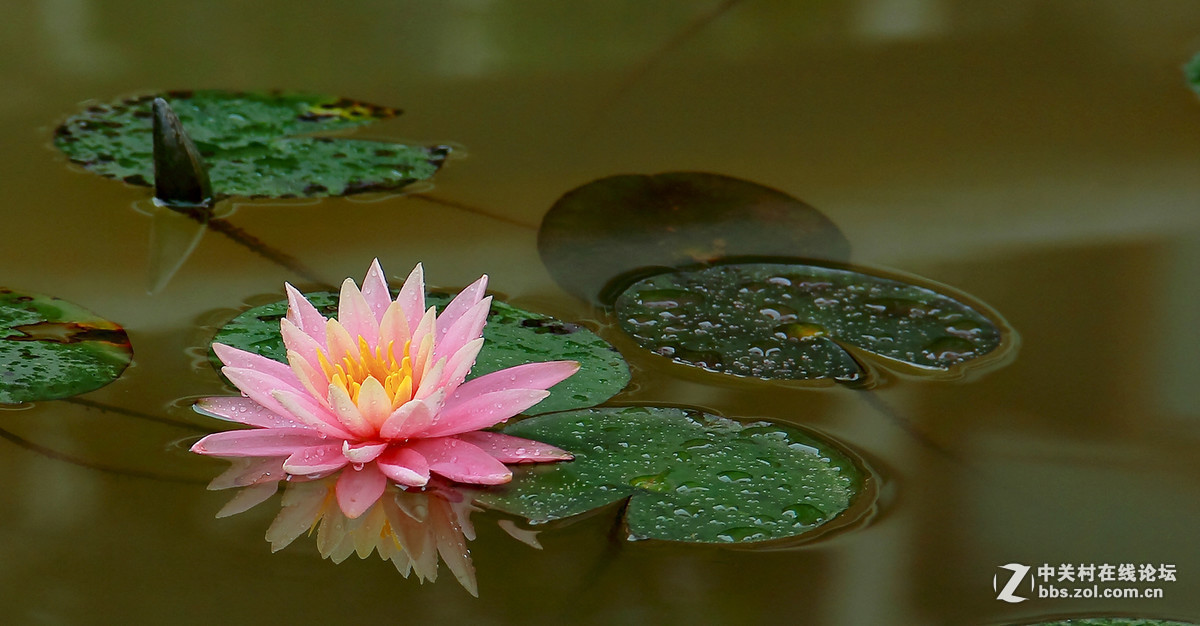 #版主坐堂# 赤峰摄影星空(中国)2016年7月份部分精华作品