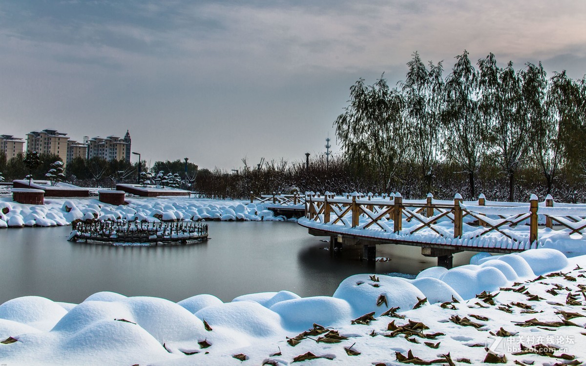 2016年的第一场雪