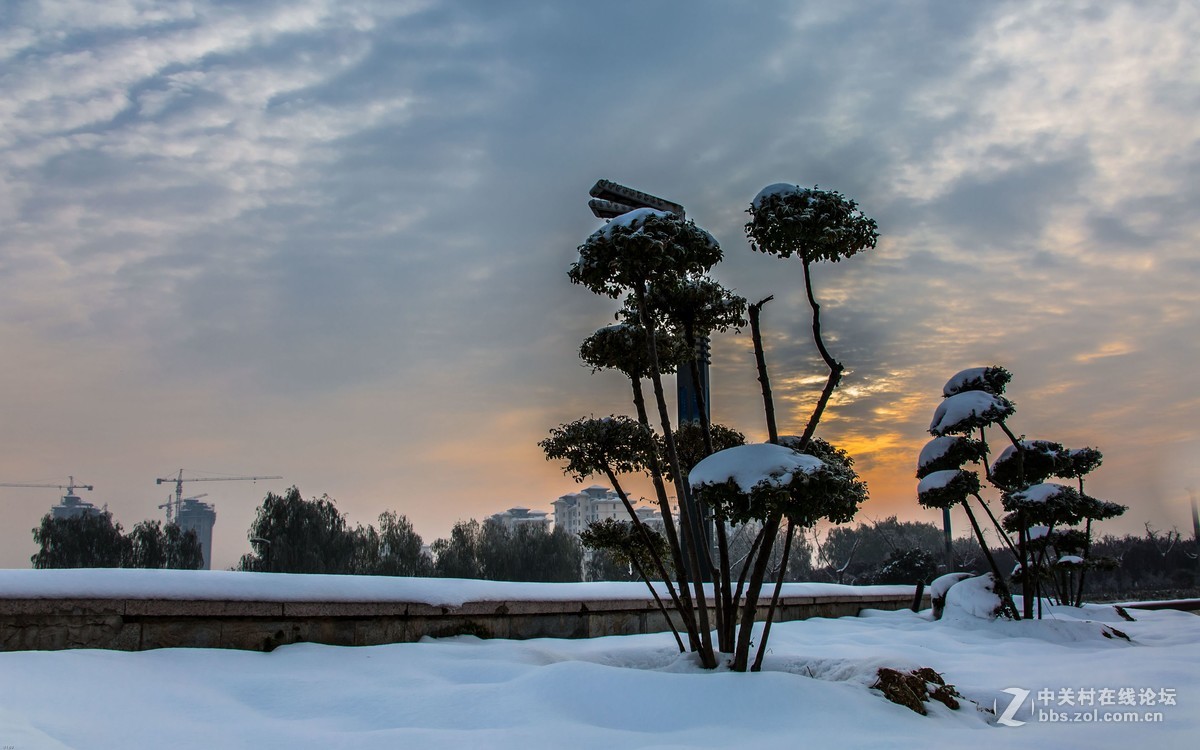 2016年的第一场雪