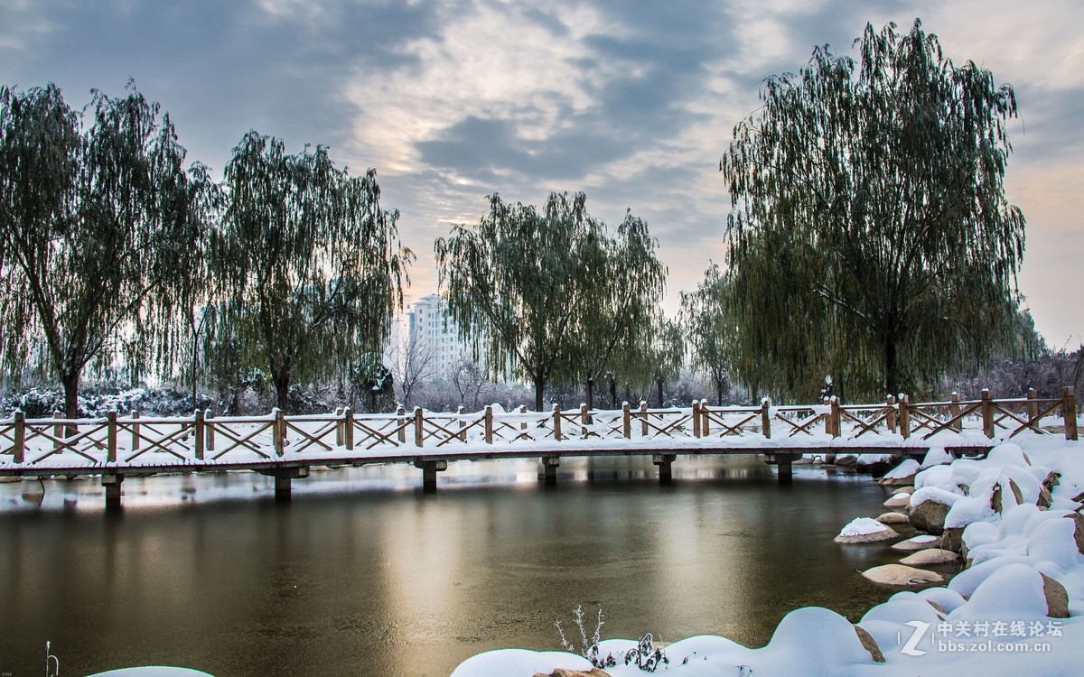 2016年的第一场雪