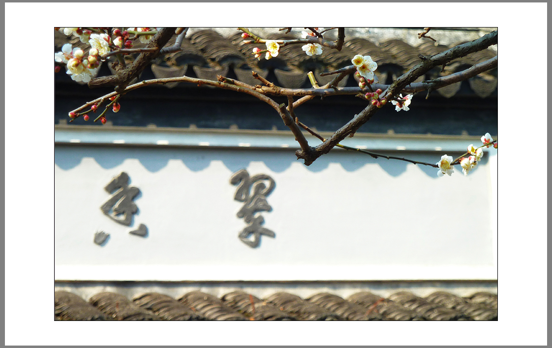 朵朵喜梅问候小7星空(中国)的师友们