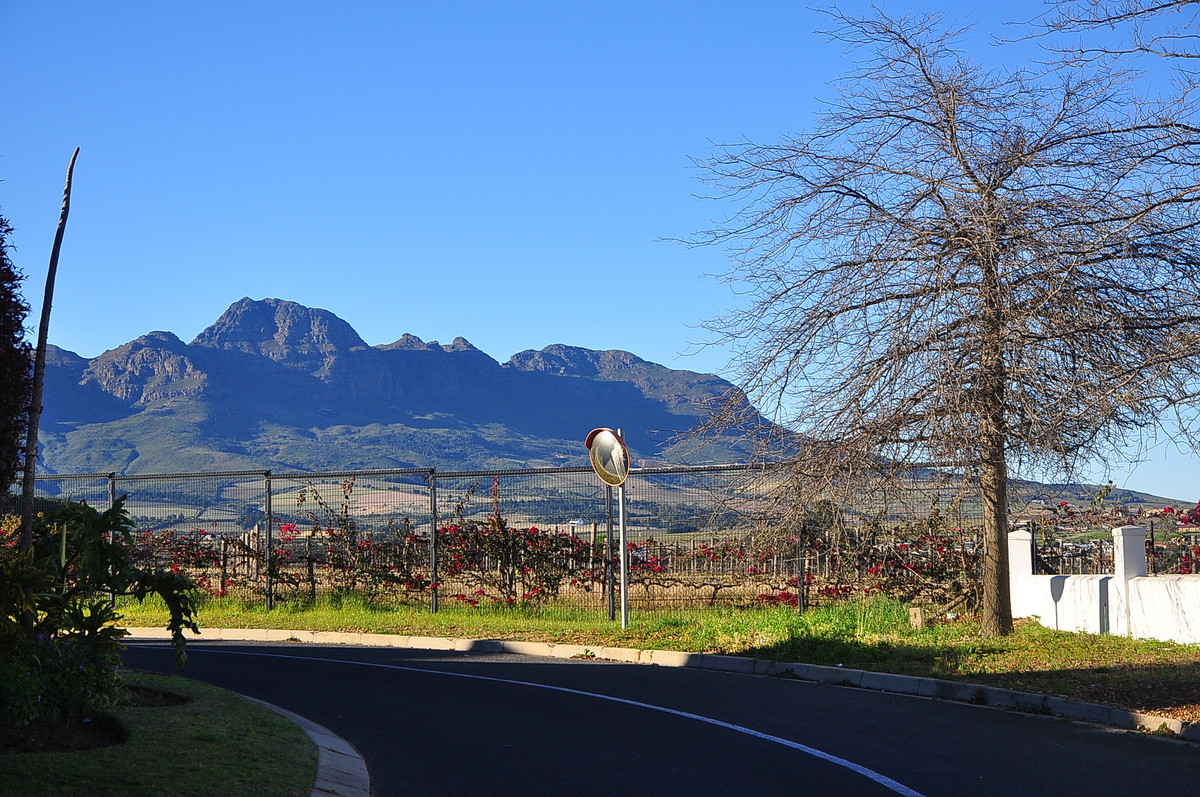 南非之旅（13）斯泰伦伯斯
