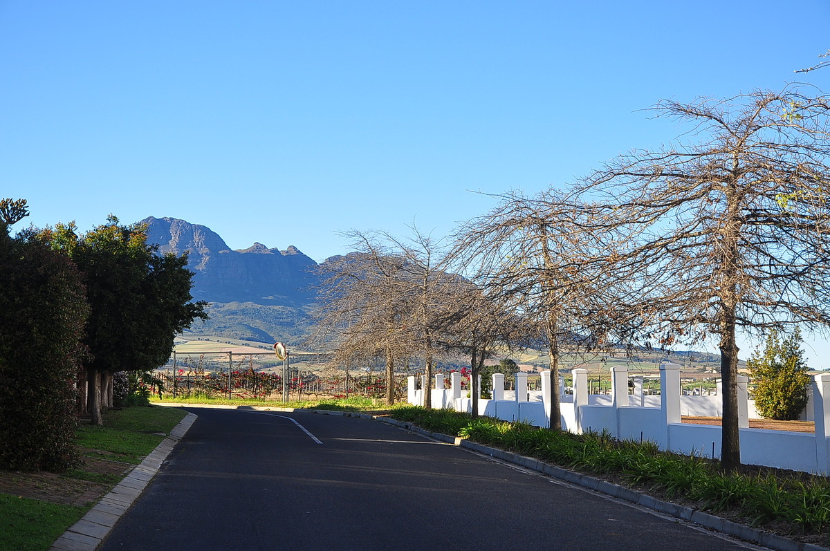 南非之旅（13）斯泰伦伯斯