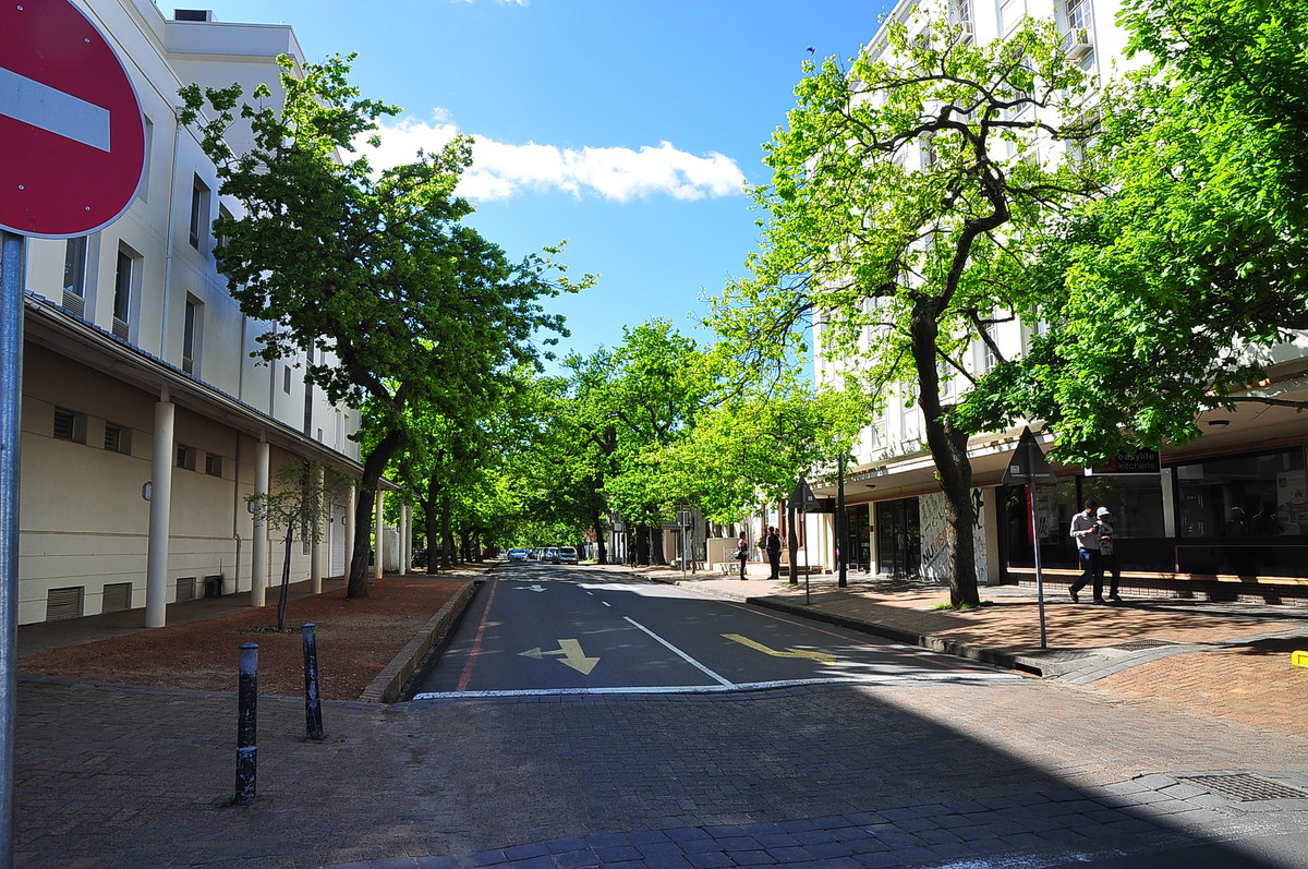 南非之旅（13）斯泰伦伯斯