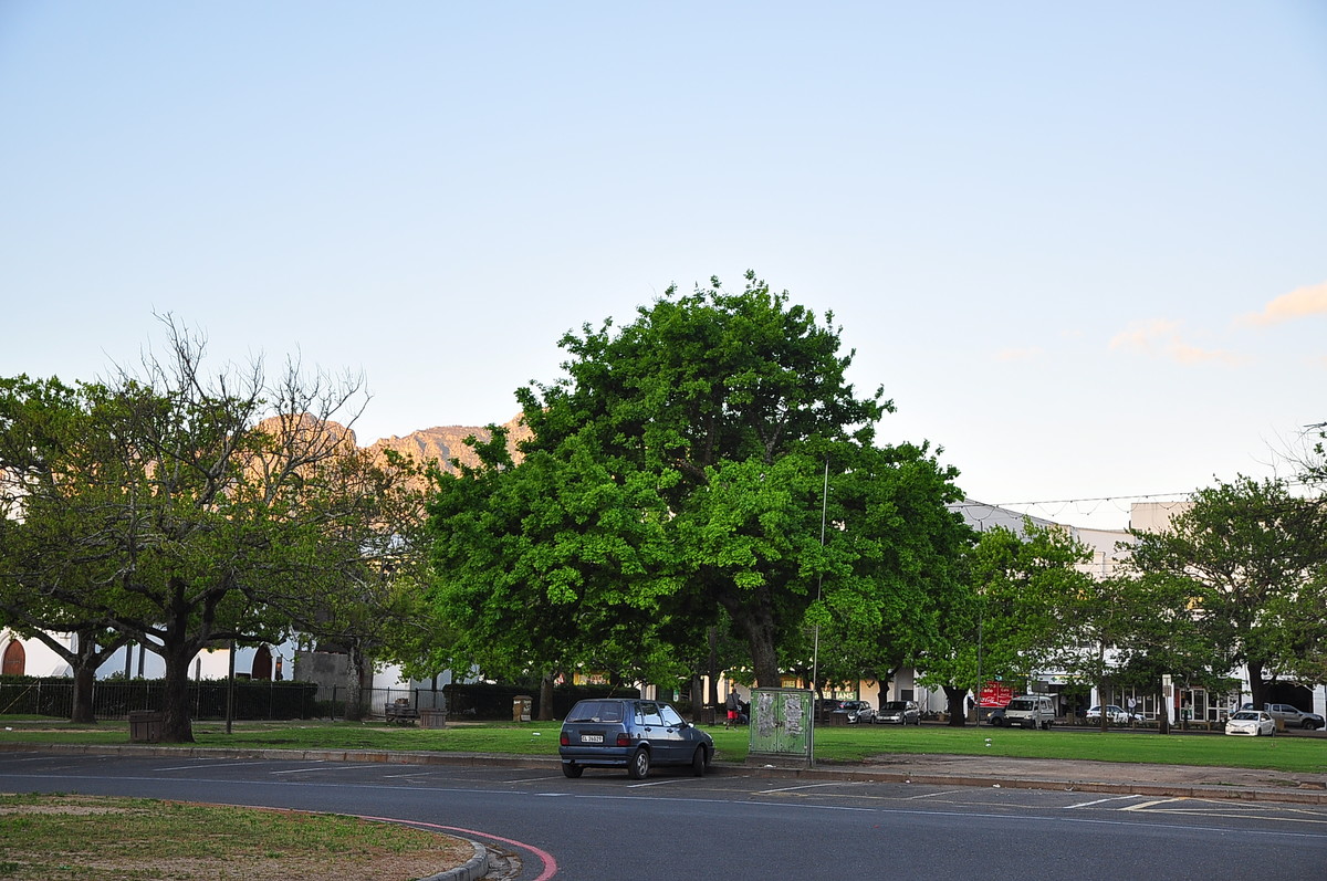 南非之旅（13）斯泰伦伯斯