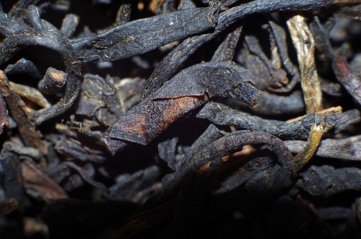 K50+凤凰50 1.7+近摄接圈