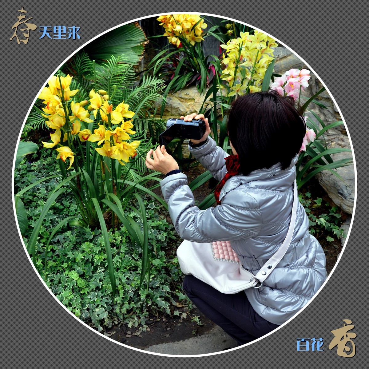 春天里来百花香