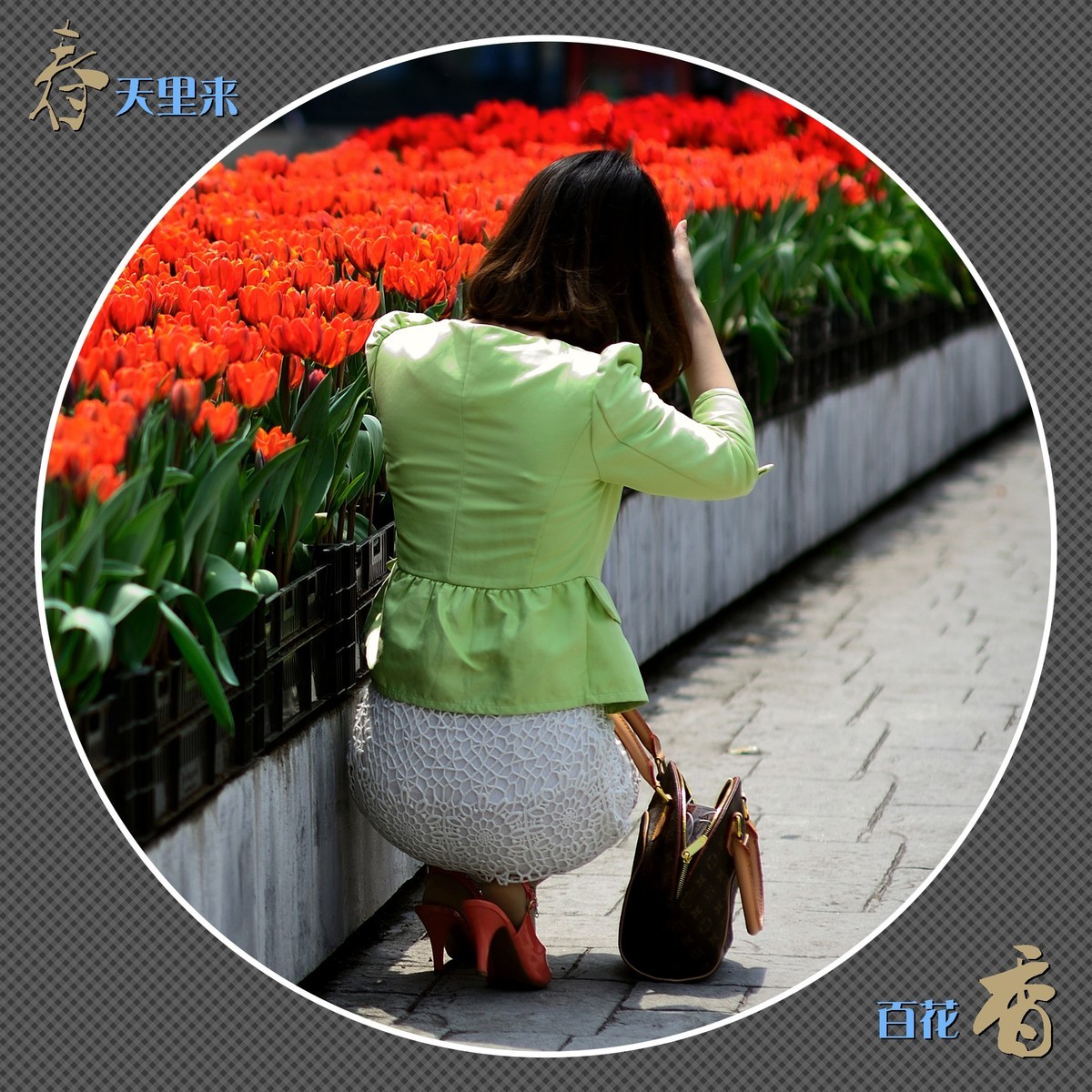 春天里来百花香