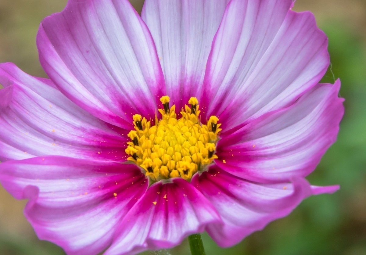 游历绵阳蜗牛儿童乐园时的随拍