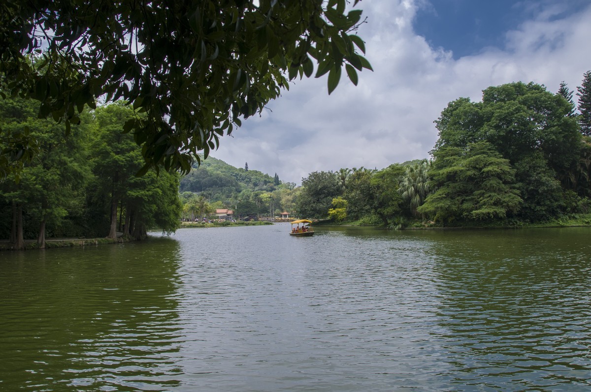 仙湖植物园随拍