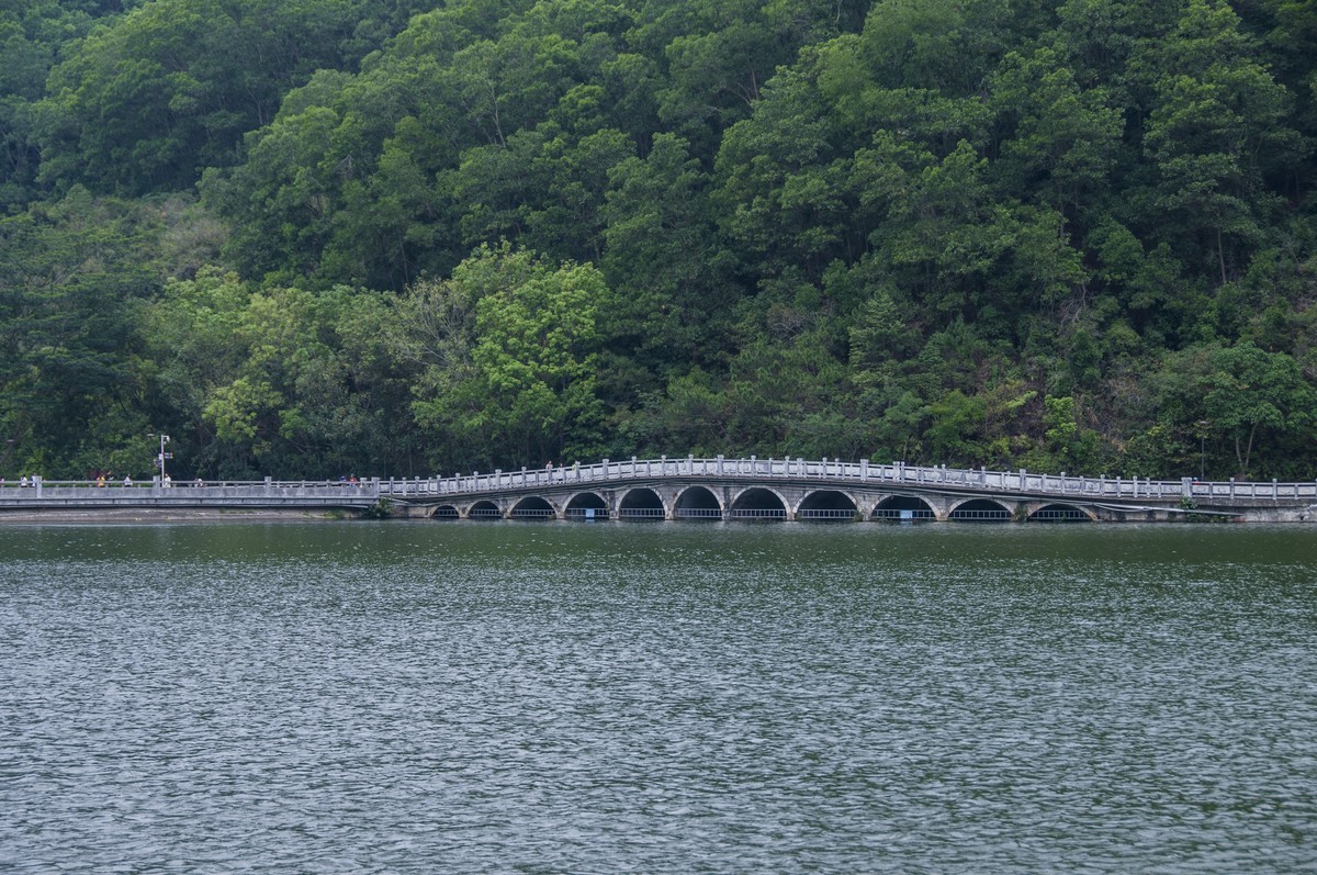 仙湖植物园随拍