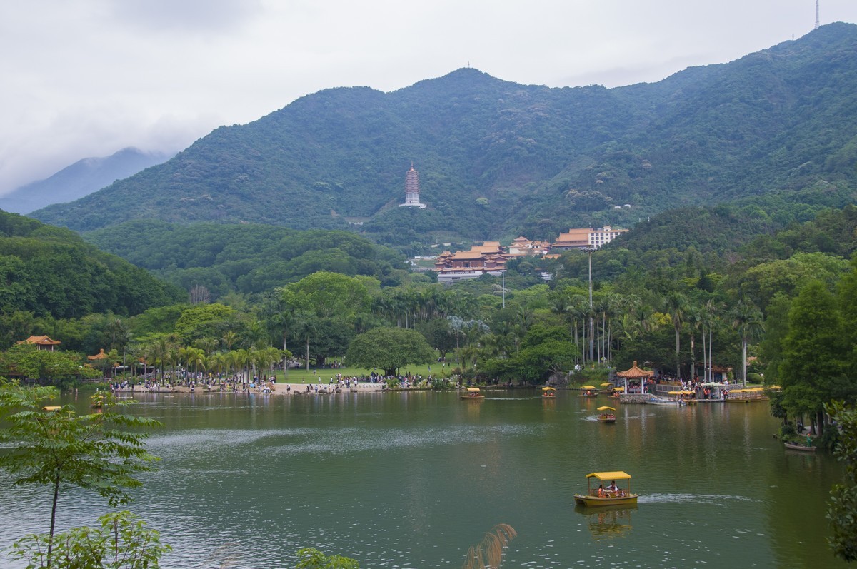 仙湖植物园随拍
