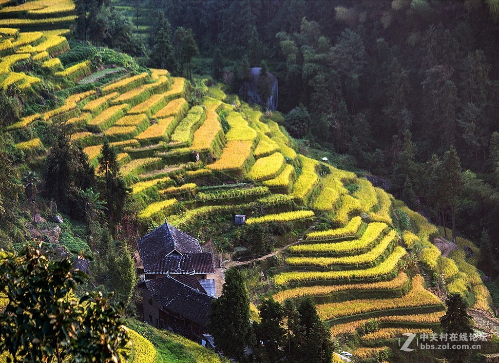 湖南紫鹊界梯田