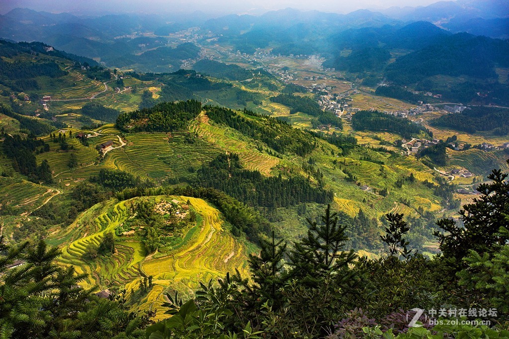 湖南紫鹊界梯田
