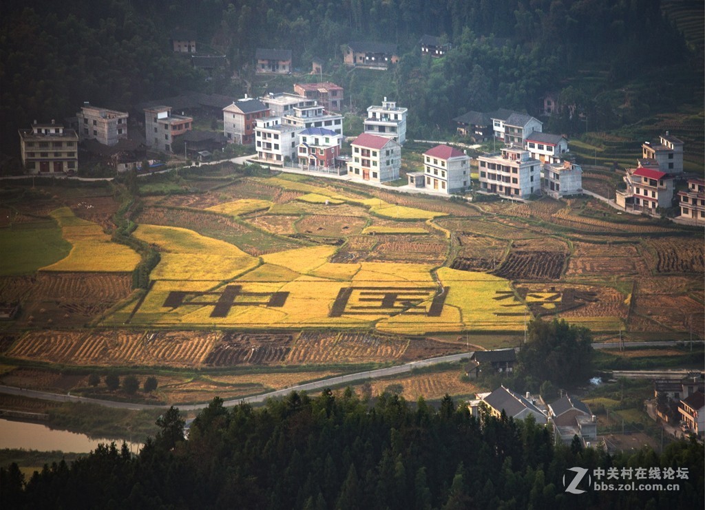 湖南紫鹊界梯田