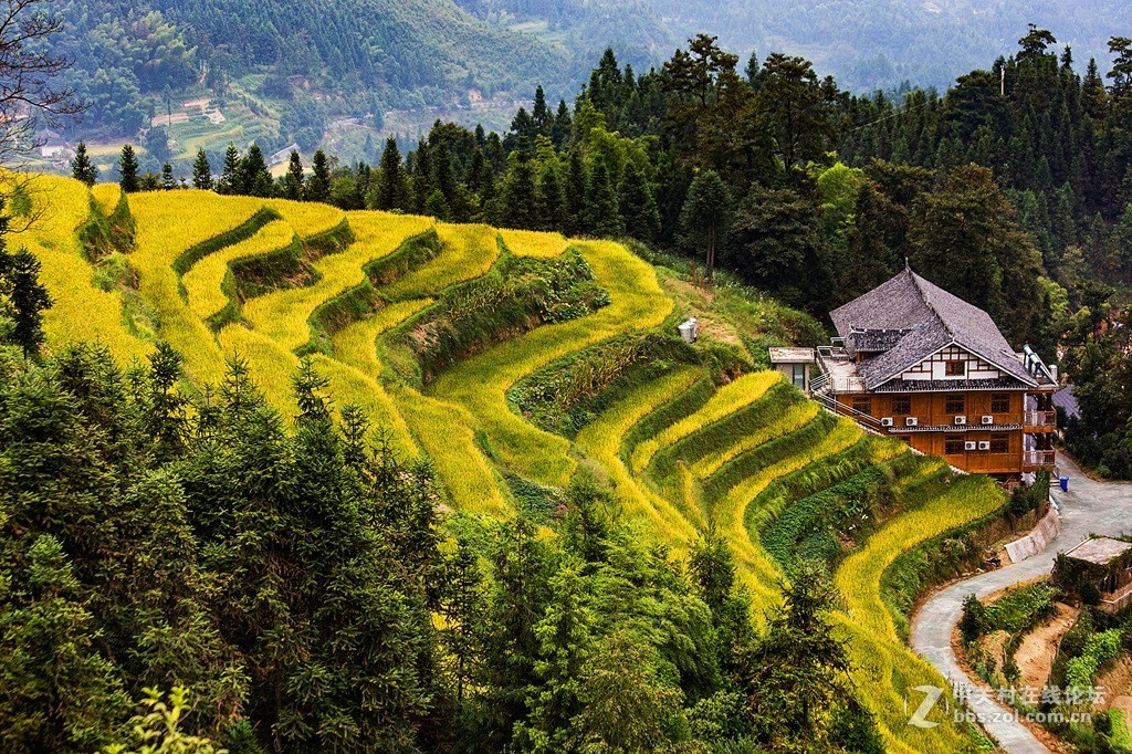 湖南紫鹊界梯田