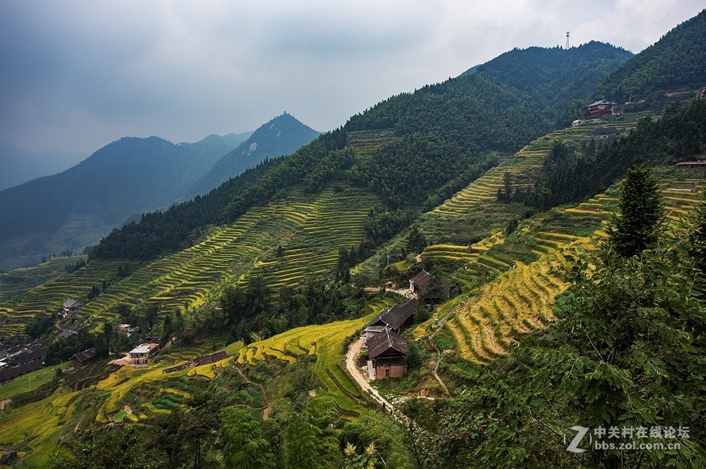 湖南紫鹊界梯田