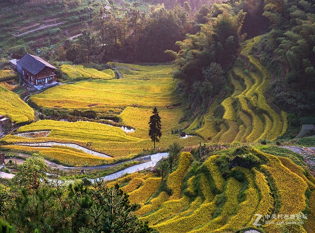 湖南紫鹊界梯田