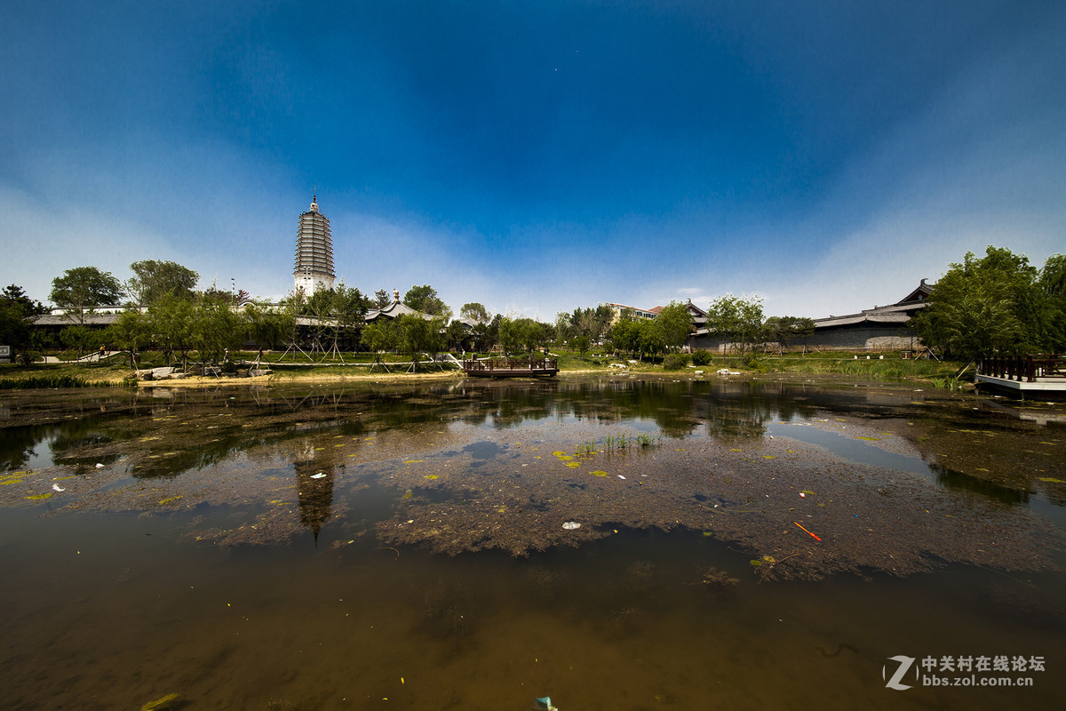 瀋陽塔灣溼地公園