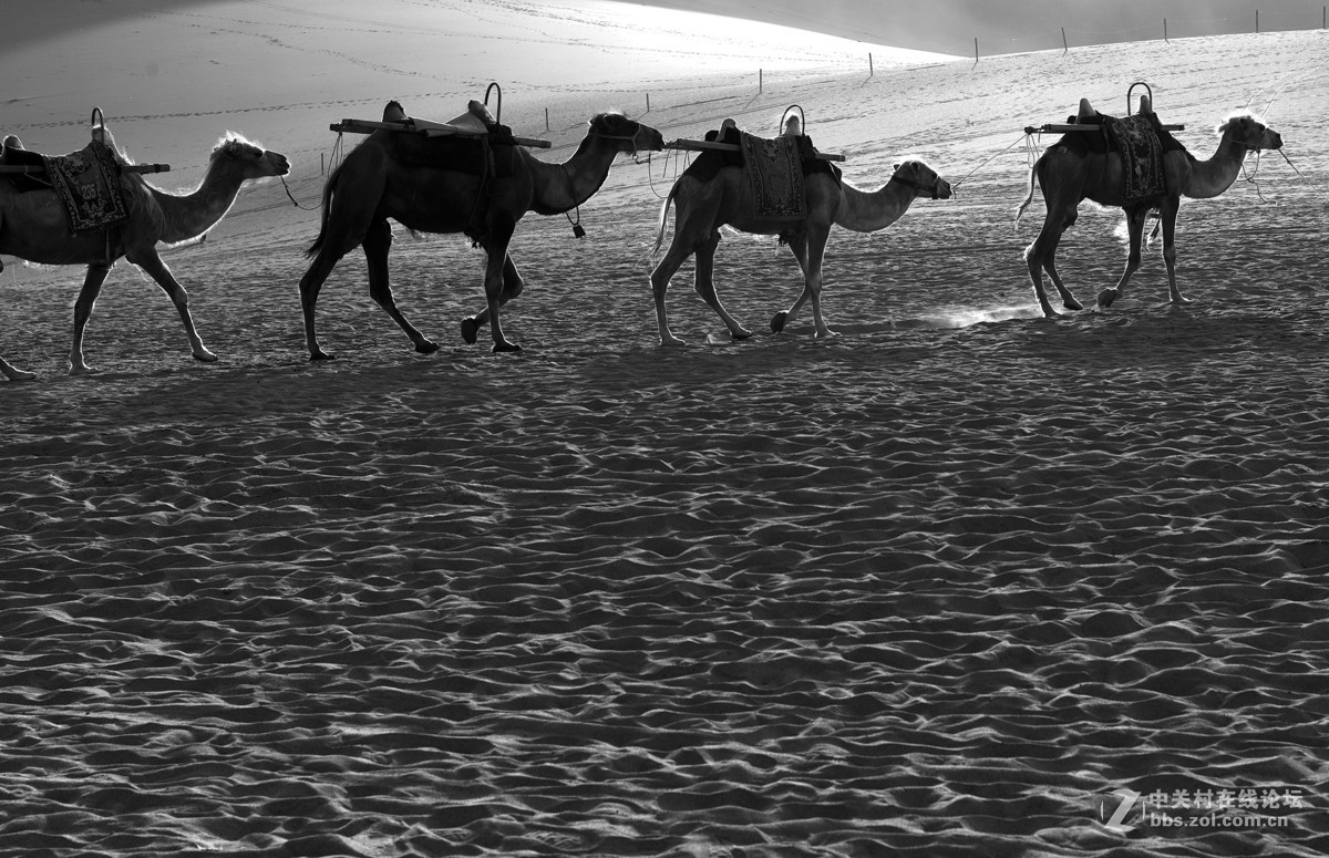 莫高窟  鸣沙山