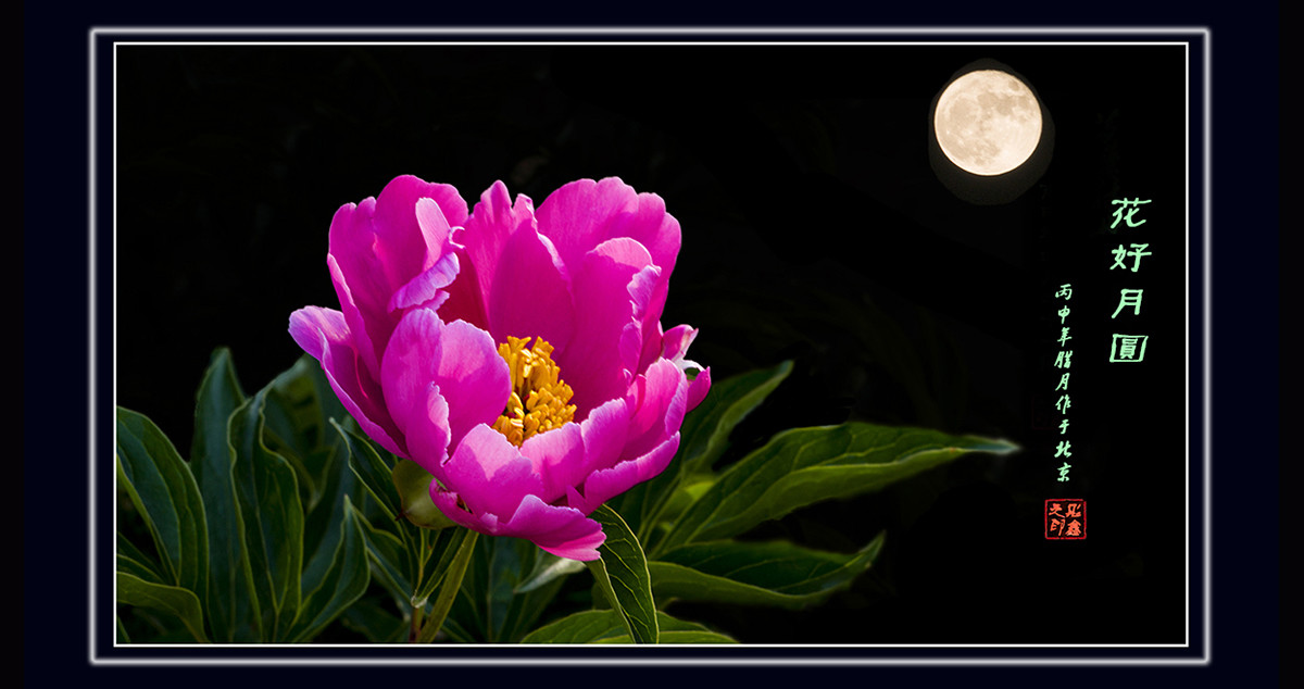 花好月圆