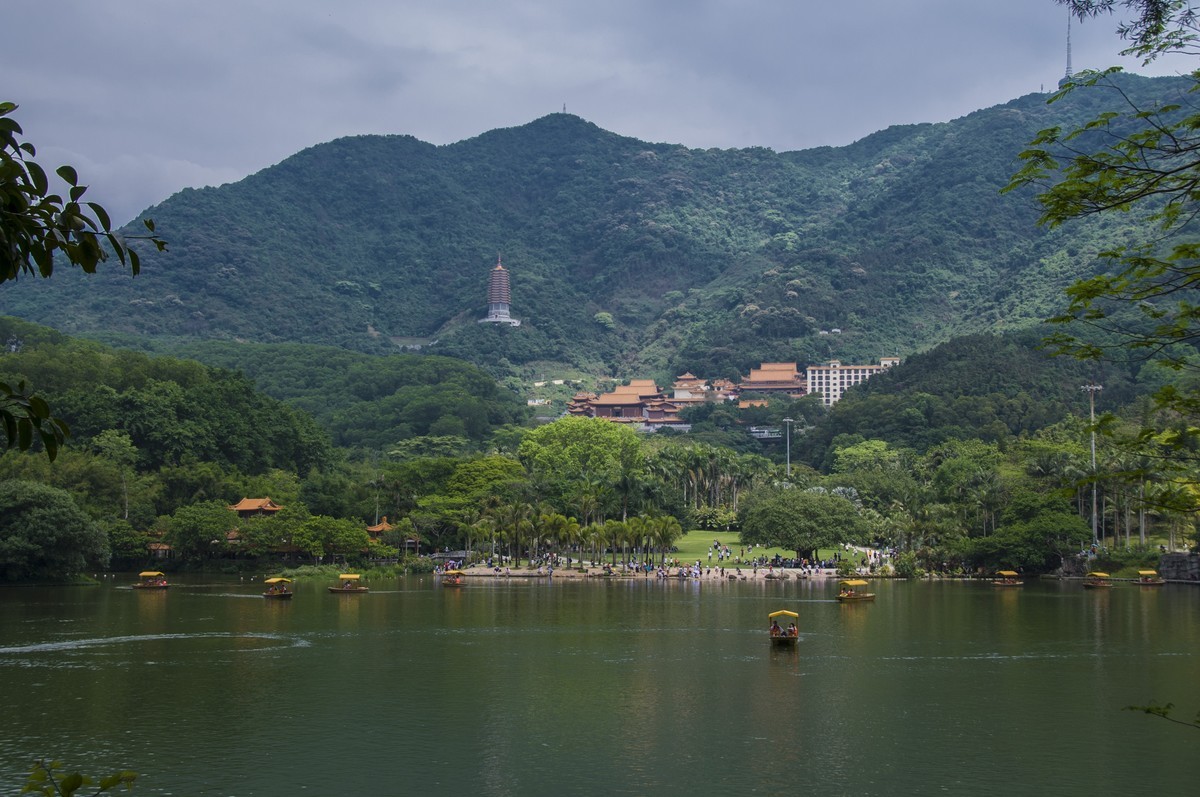 仙湖植物园随拍