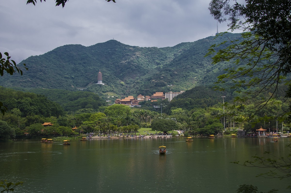 仙湖植物园随拍