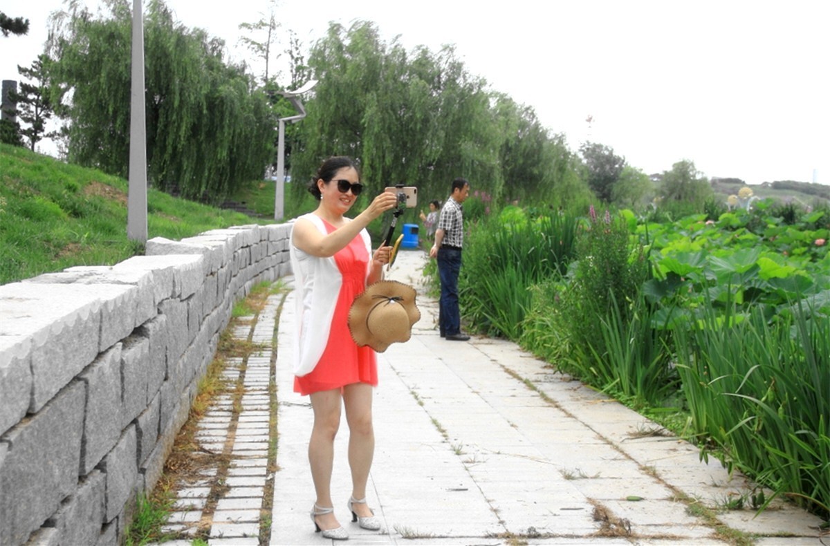 年年花开似相识，岁岁赏花人不同