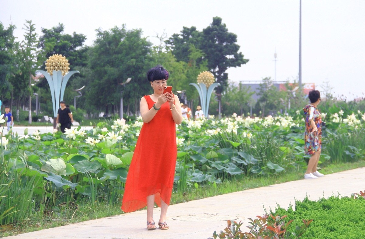年年花开似相识，岁岁赏花人不同