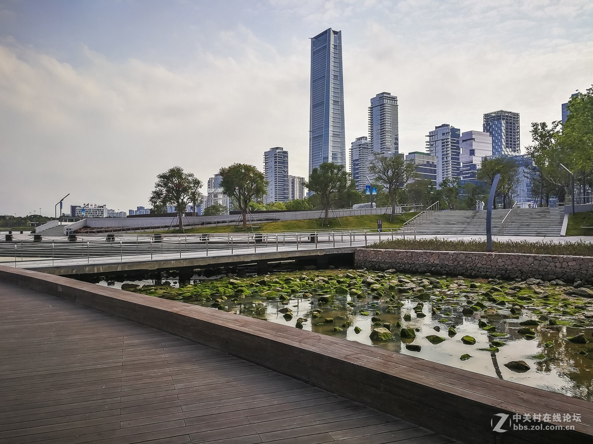 深圳人才公園掠影