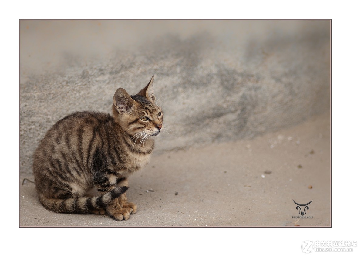 随拍---180/2.8试镜