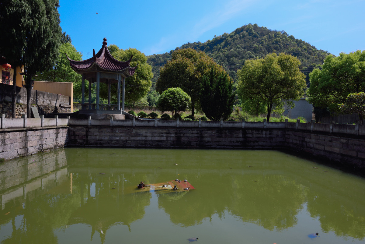 温岭常乐寺图片